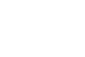 Boldt